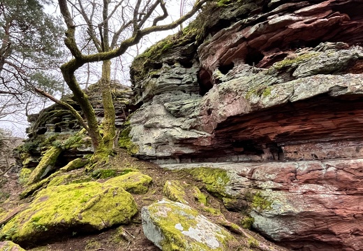 24-03-01 11-28-15 8860